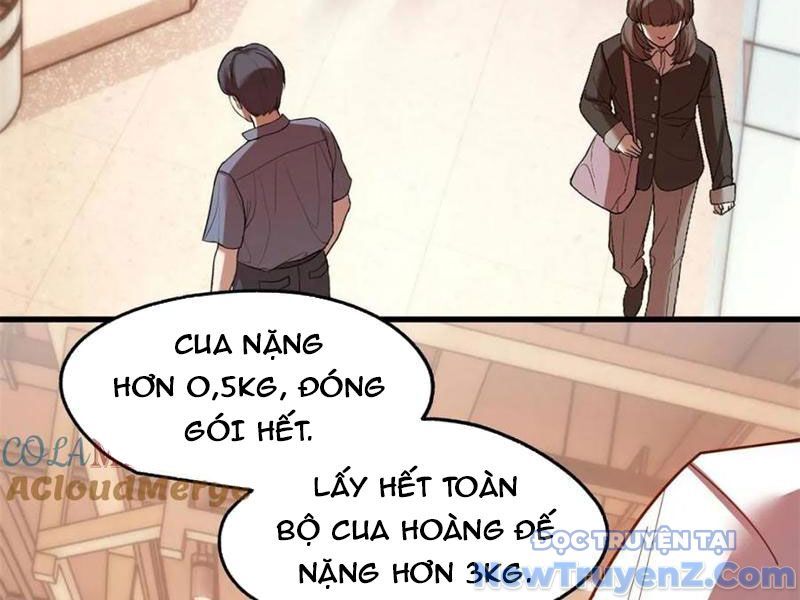 Trọng Sinh Không Làm Chạn Vương Tôi Một Mình Nạp Game Thăng Cấp [Chap 228-233]