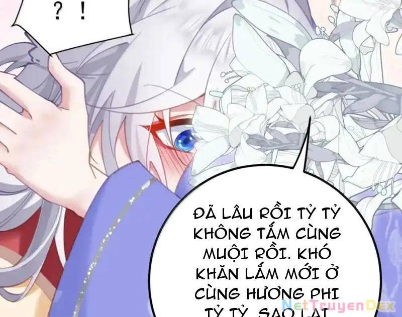 Phơi Bày Thân Phận Nữ Của Hoàng Đế [Chap 1-47]
