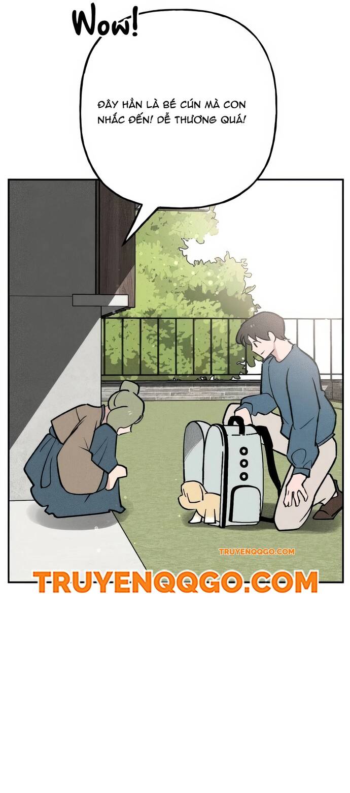 Chàng Rể Quỷ Quyệt [Chap 1-15]
