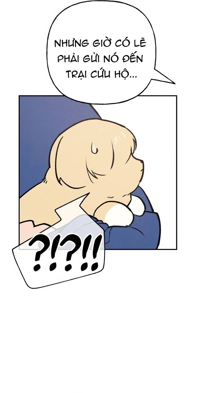 Chàng Rể Quỷ Quyệt [Chap 1-15]