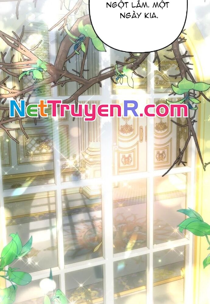 Phải Lòng Kẻ Thù [Chap 34-50]