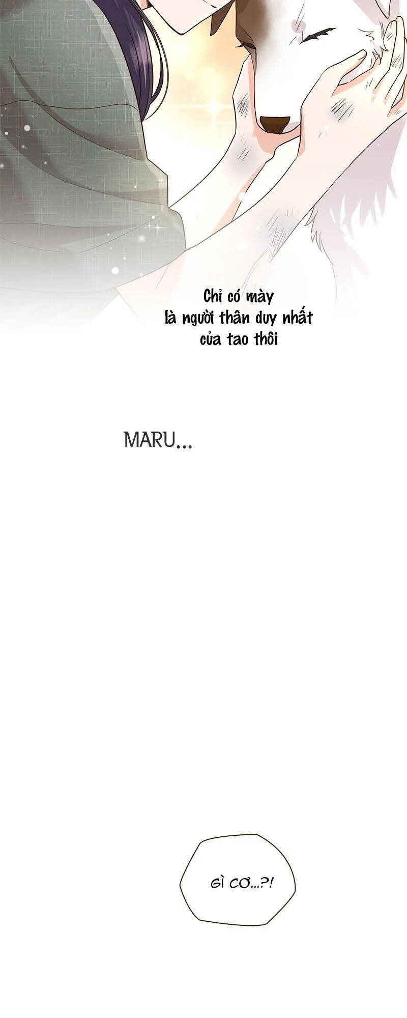 Cô Dâu Của Sói Trắng [Chap 1-154]