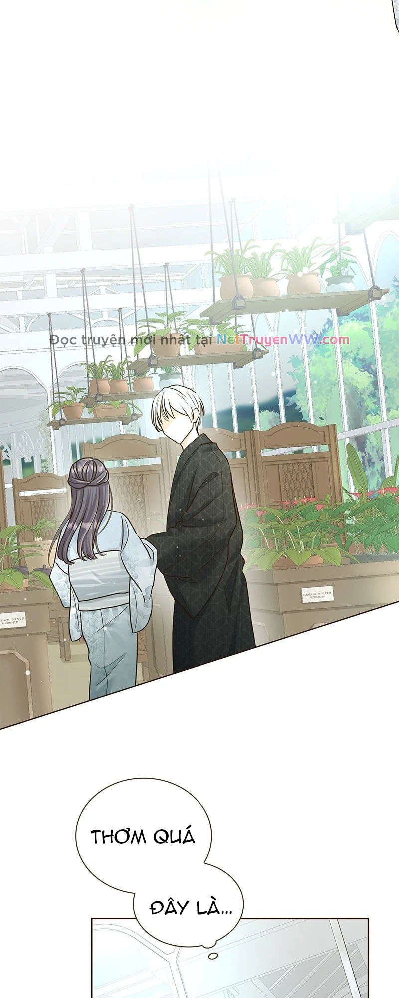 Cô Dâu Của Sói Trắng [Chap 1-154]