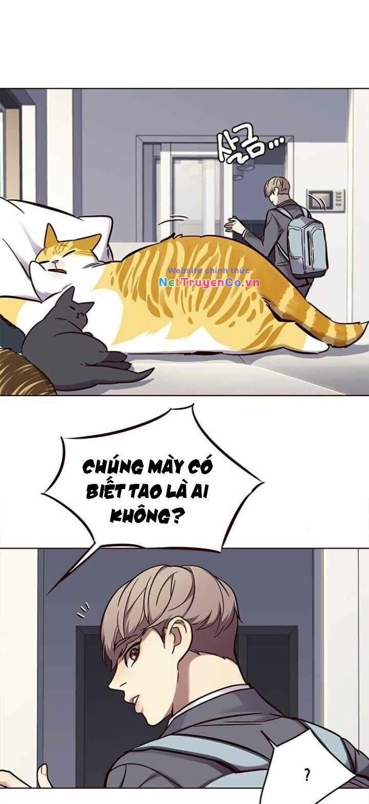 Cô Dâu Của Sói Trắng [Chap 1-154]