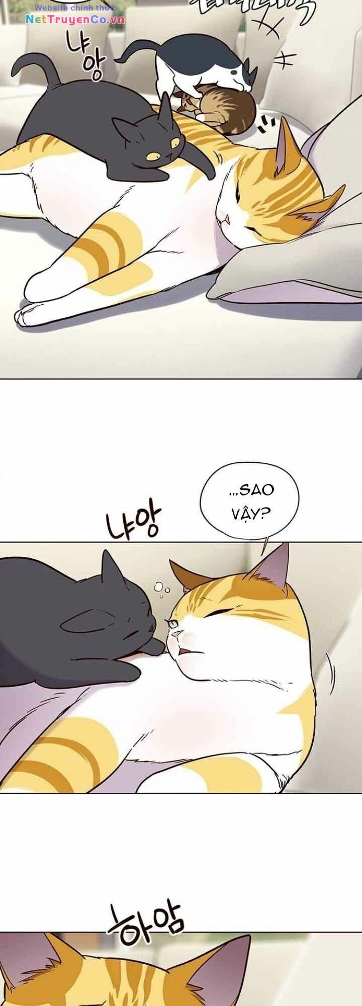 Cô Dâu Của Sói Trắng [Chap 1-154]