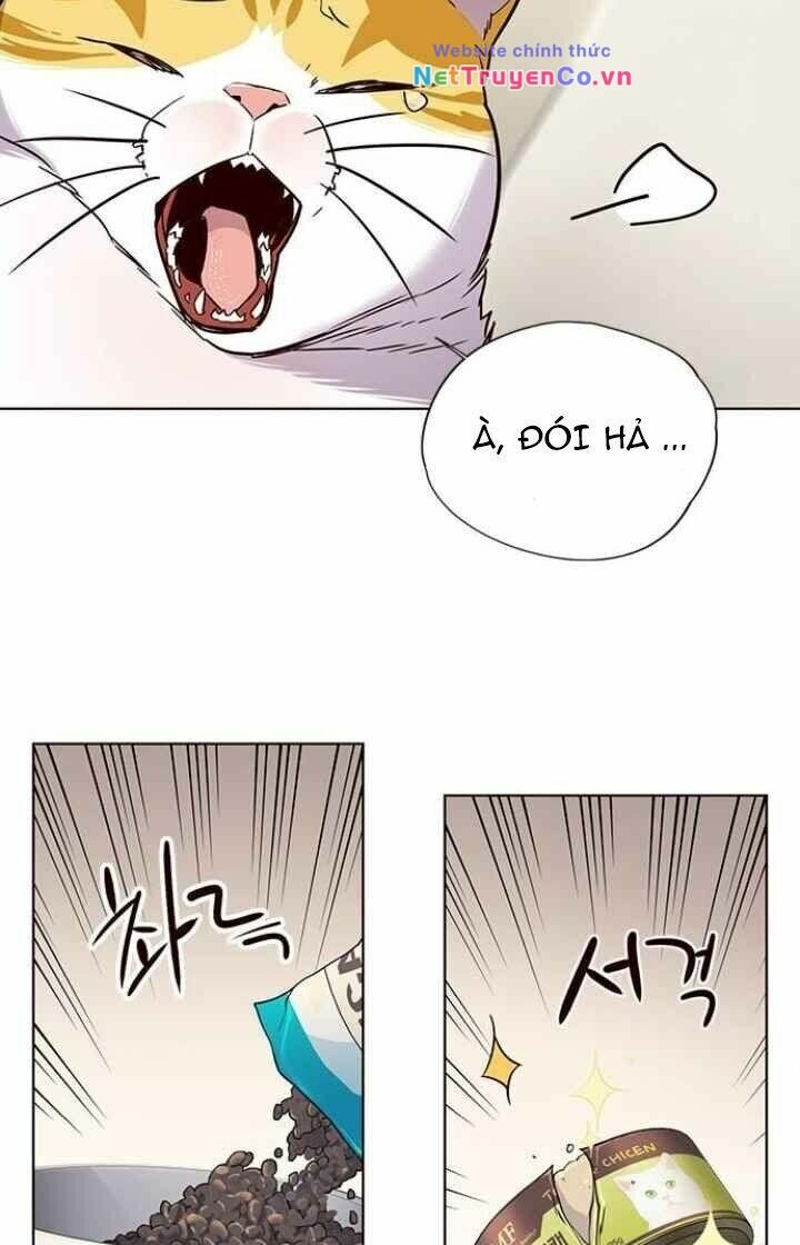 Cô Dâu Của Sói Trắng [Chap 1-154]