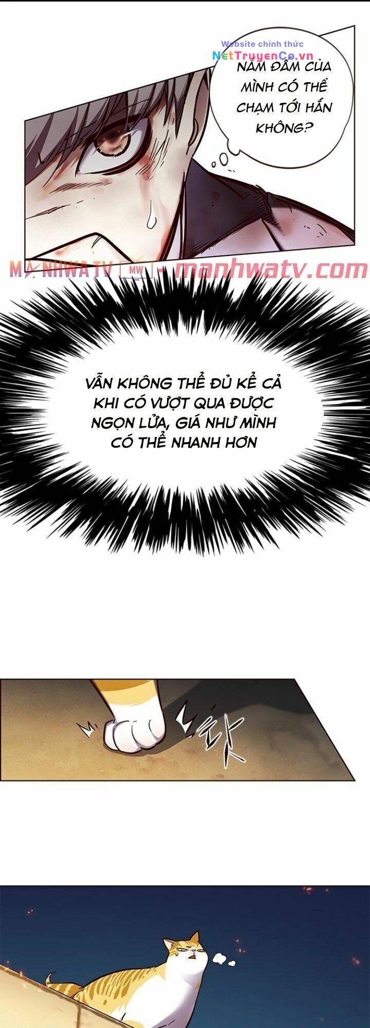 Cô Dâu Của Sói Trắng [Chap 1-154]