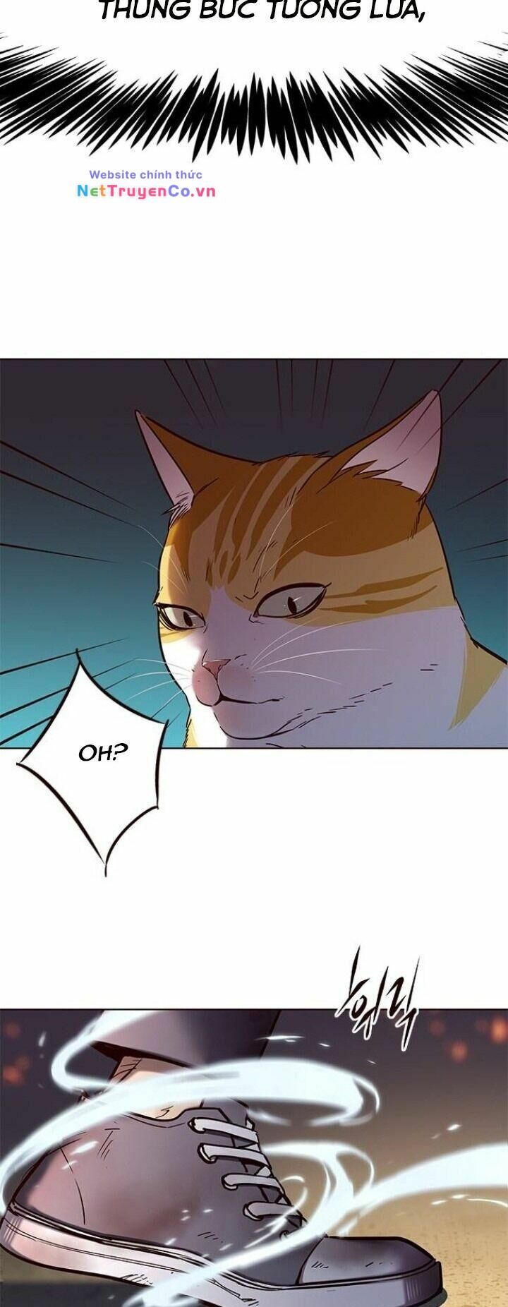Cô Dâu Của Sói Trắng [Chap 1-154]