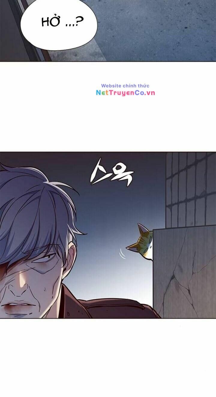 Cô Dâu Của Sói Trắng [Chap 1-154]