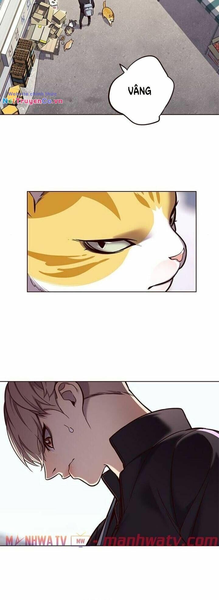 Cô Dâu Của Sói Trắng [Chap 1-154]