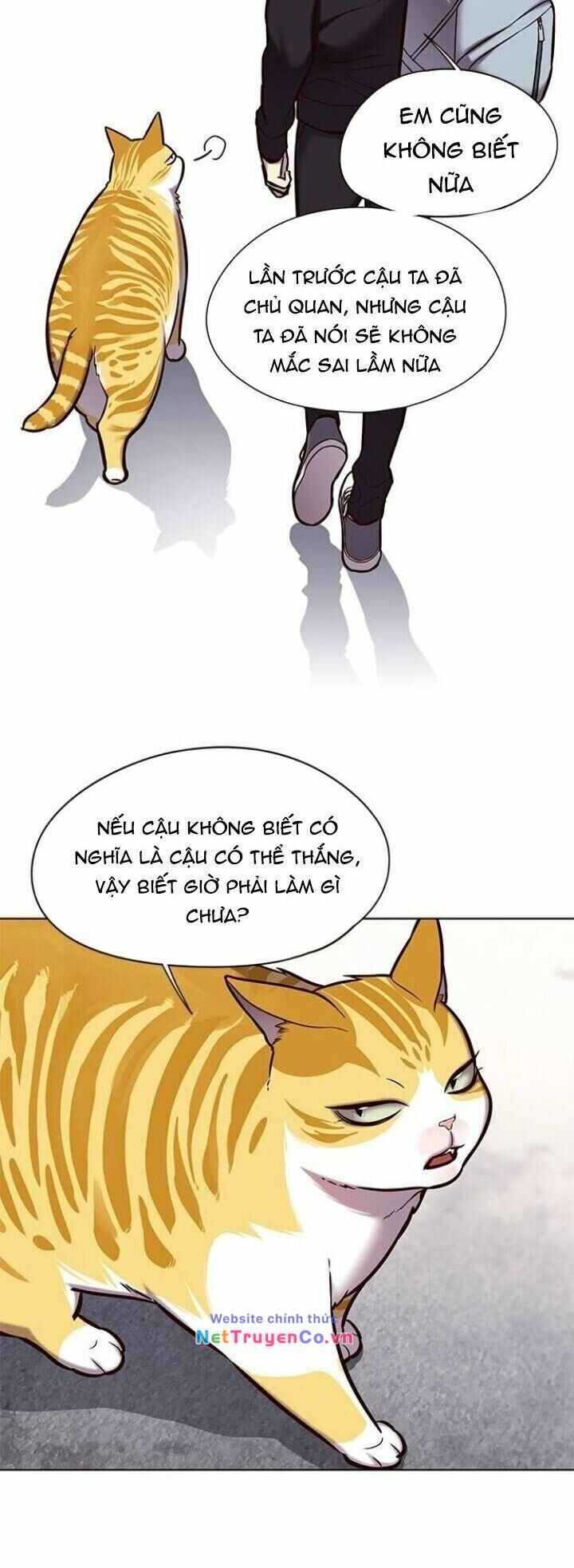 Cô Dâu Của Sói Trắng [Chap 1-154]