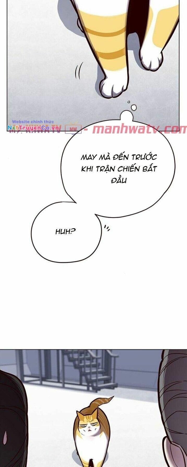 Cô Dâu Của Sói Trắng [Chap 1-154]