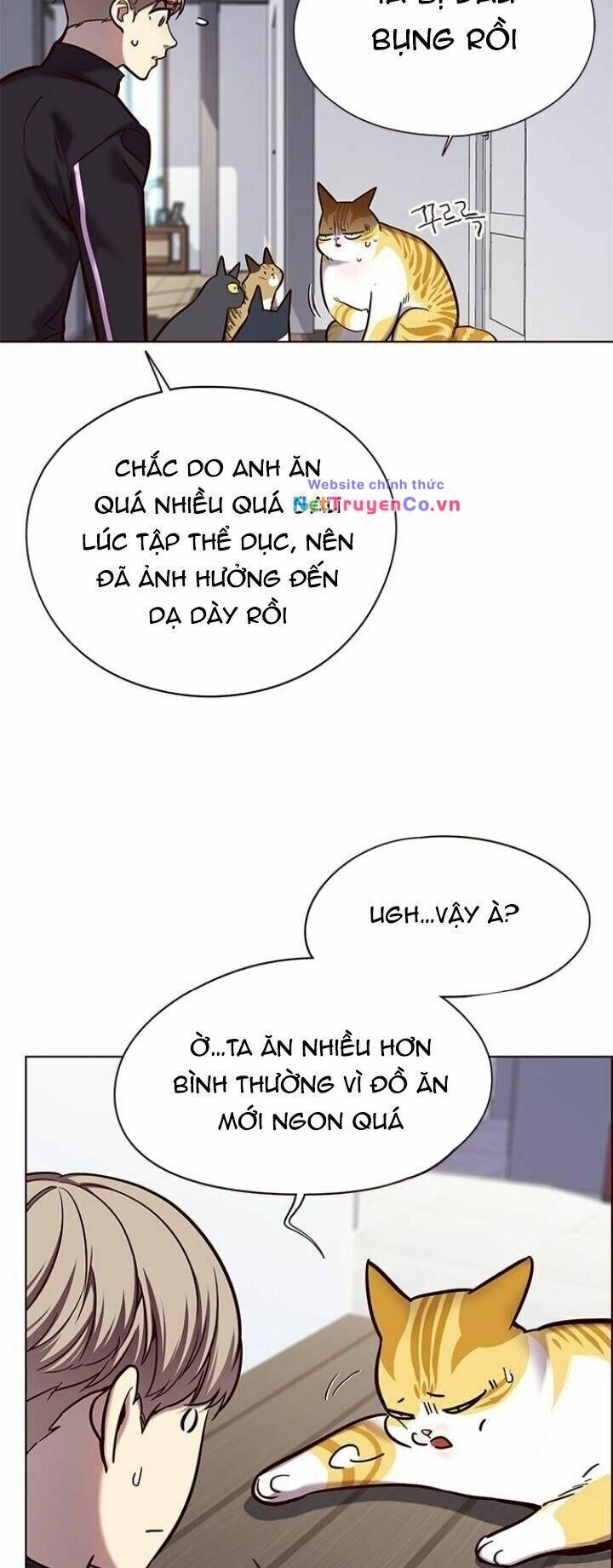 Cô Dâu Của Sói Trắng [Chap 1-154]