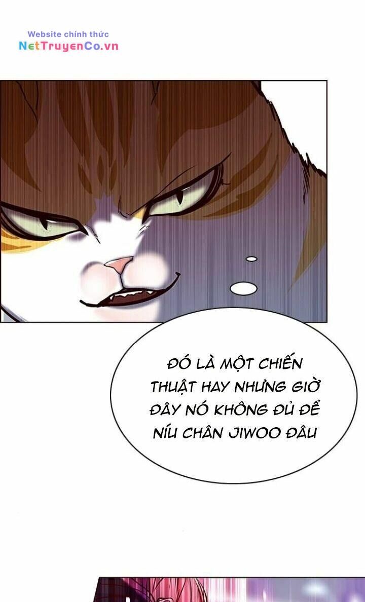 Cô Dâu Của Sói Trắng [Chap 1-154]