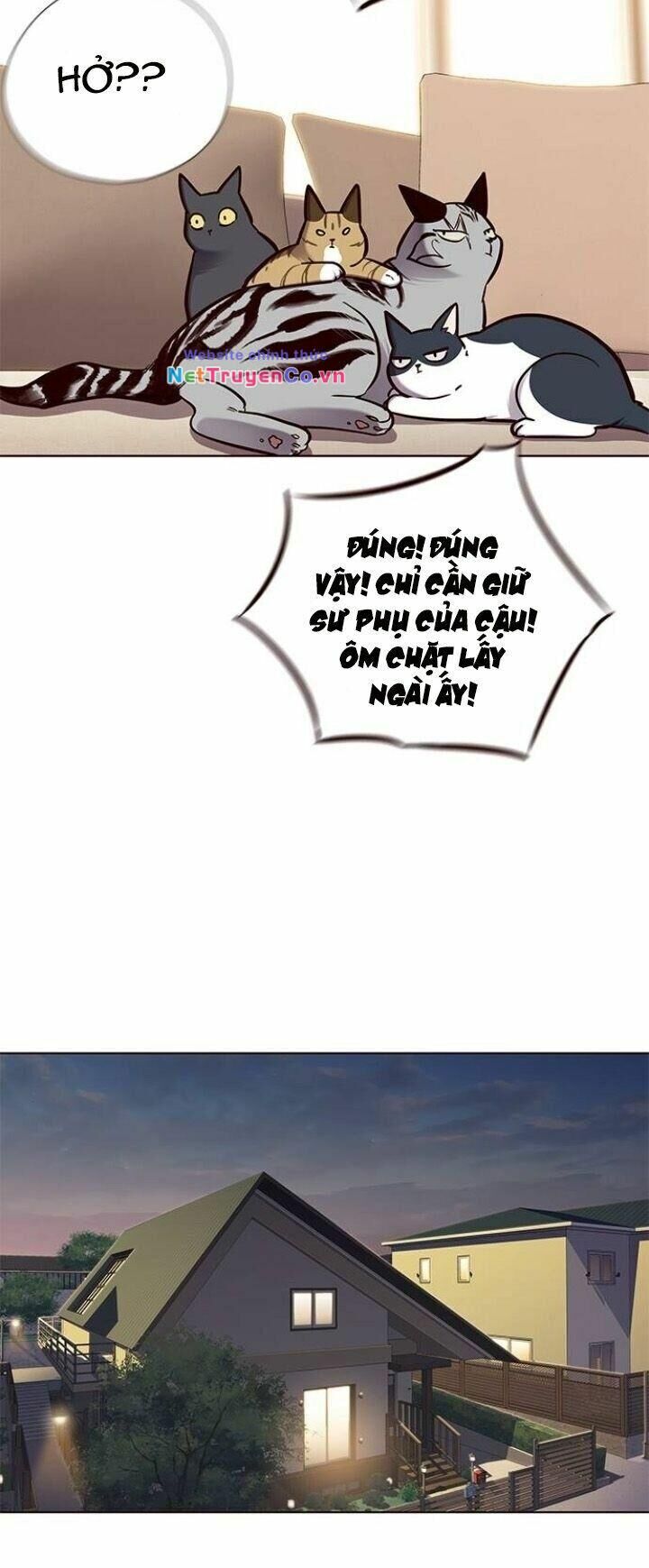 Cô Dâu Của Sói Trắng [Chap 1-154]