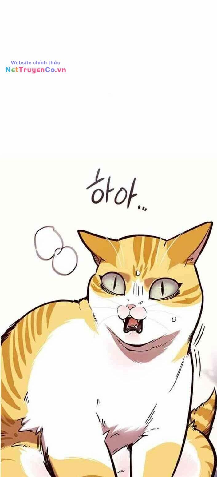 Cô Dâu Của Sói Trắng [Chap 1-154]