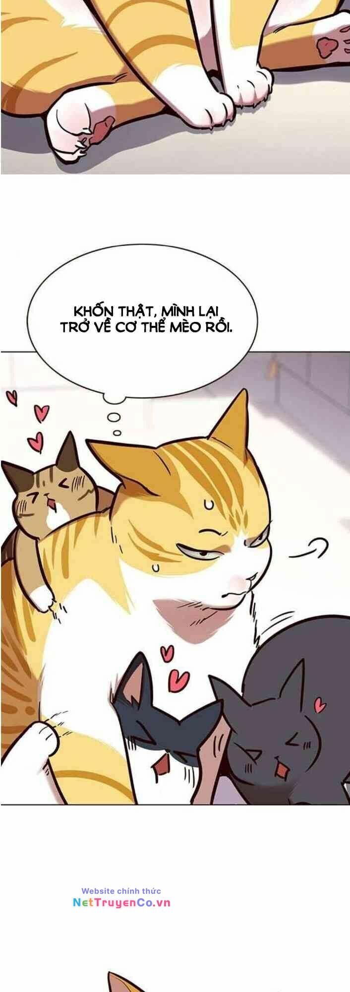 Cô Dâu Của Sói Trắng [Chap 1-154]