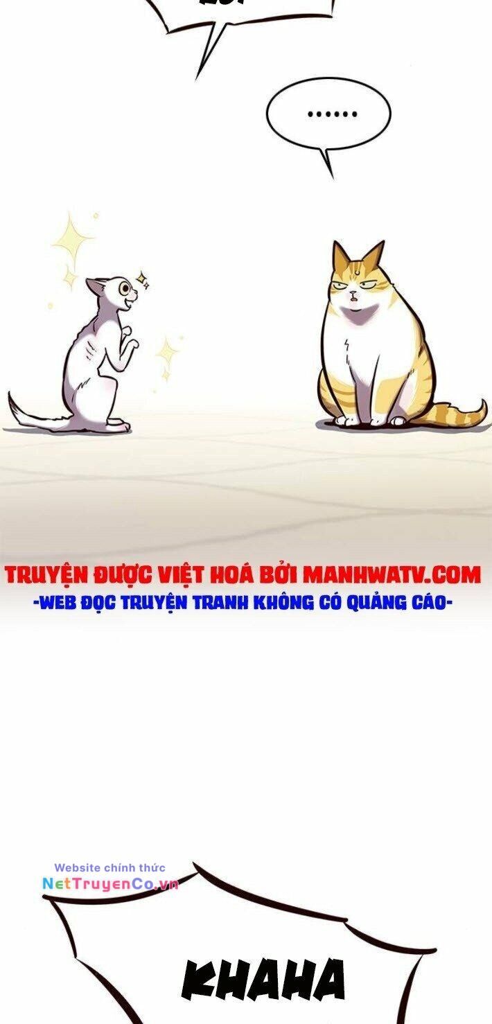 Cô Dâu Của Sói Trắng [Chap 1-154]