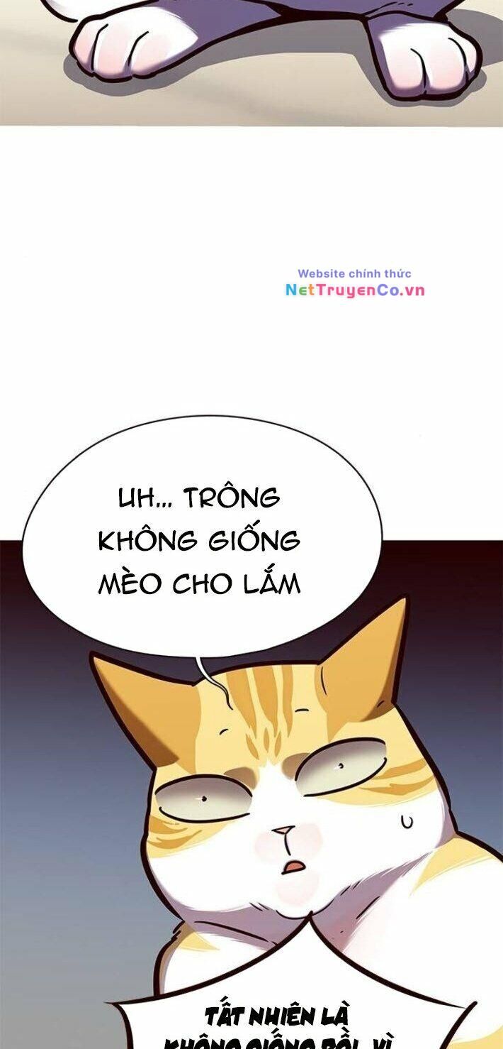 Cô Dâu Của Sói Trắng [Chap 1-154]