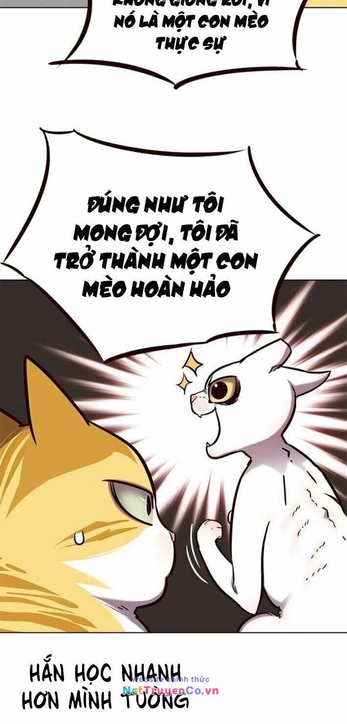 Cô Dâu Của Sói Trắng [Chap 1-154]