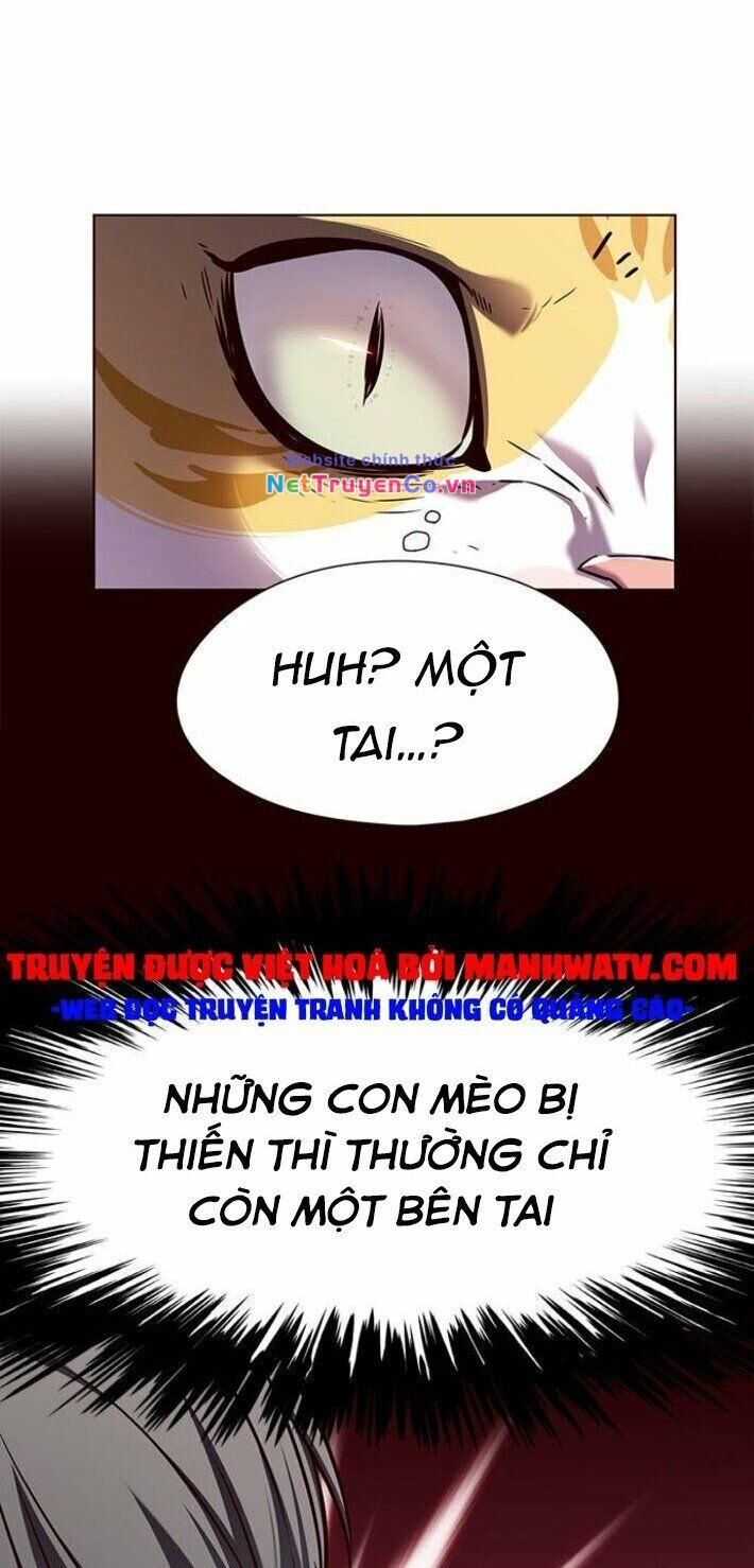 Cô Dâu Của Sói Trắng [Chap 1-154]
