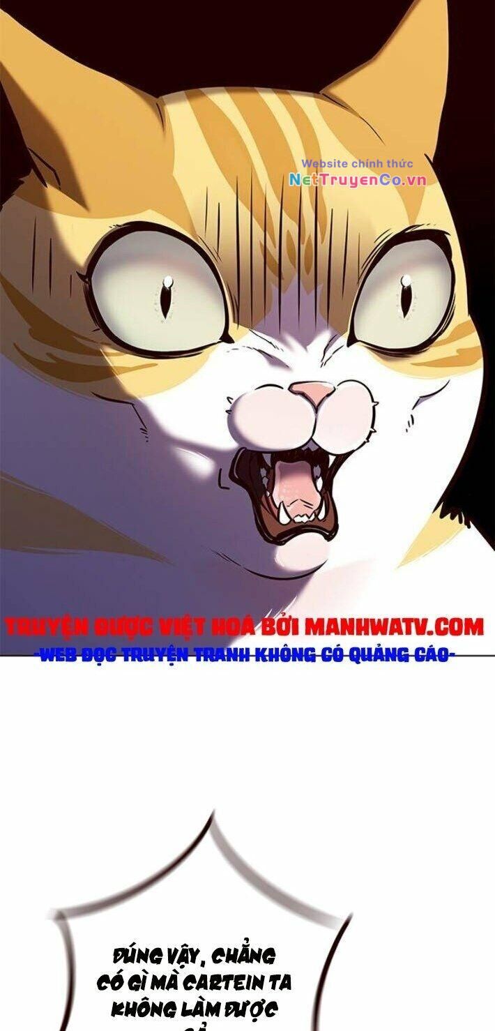 Cô Dâu Của Sói Trắng [Chap 1-154]