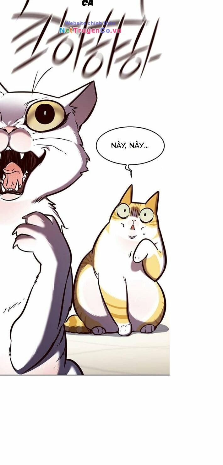 Cô Dâu Của Sói Trắng [Chap 1-154]