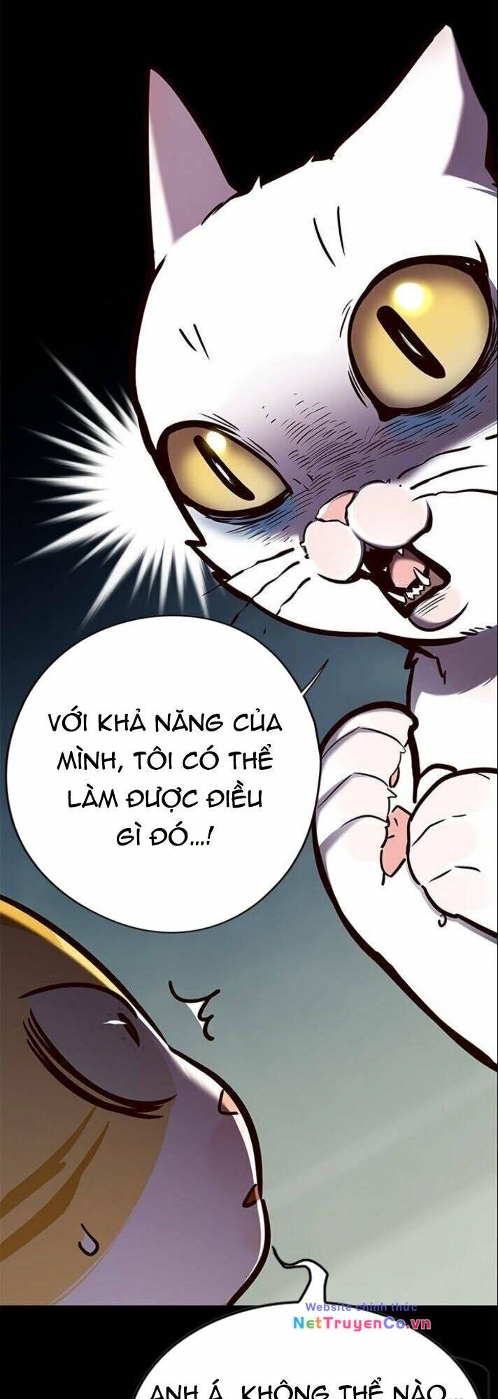 Cô Dâu Của Sói Trắng [Chap 1-154]
