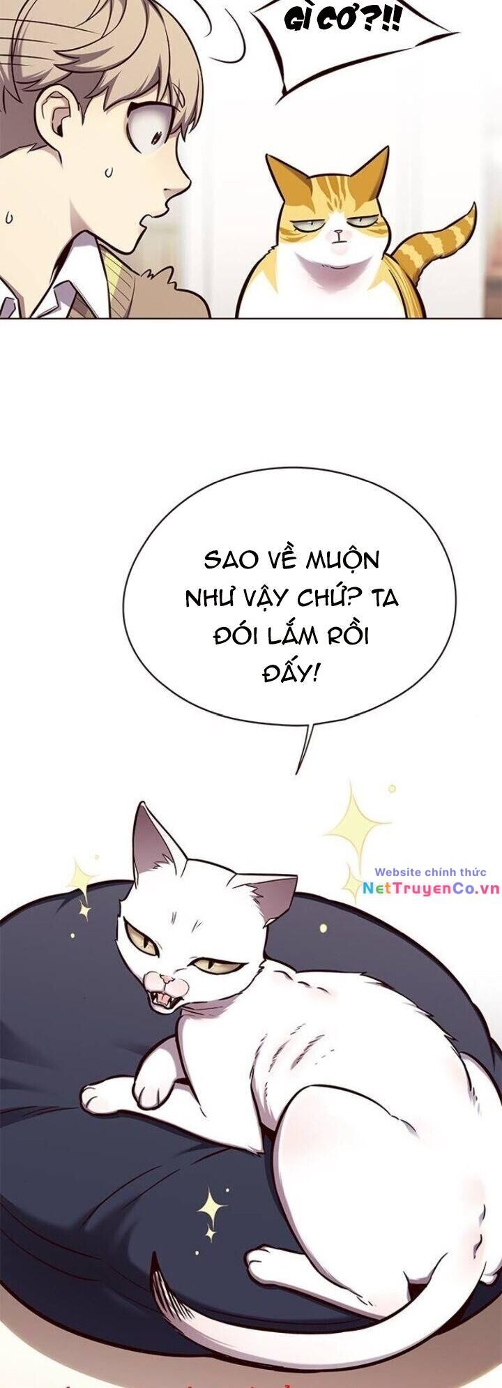 Cô Dâu Của Sói Trắng [Chap 1-154]