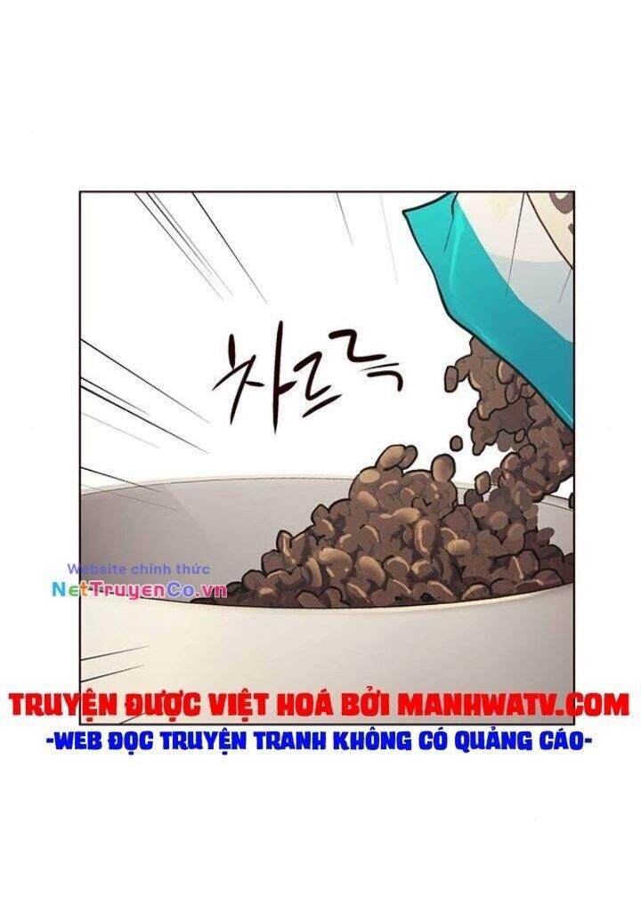 Cô Dâu Của Sói Trắng [Chap 1-154]