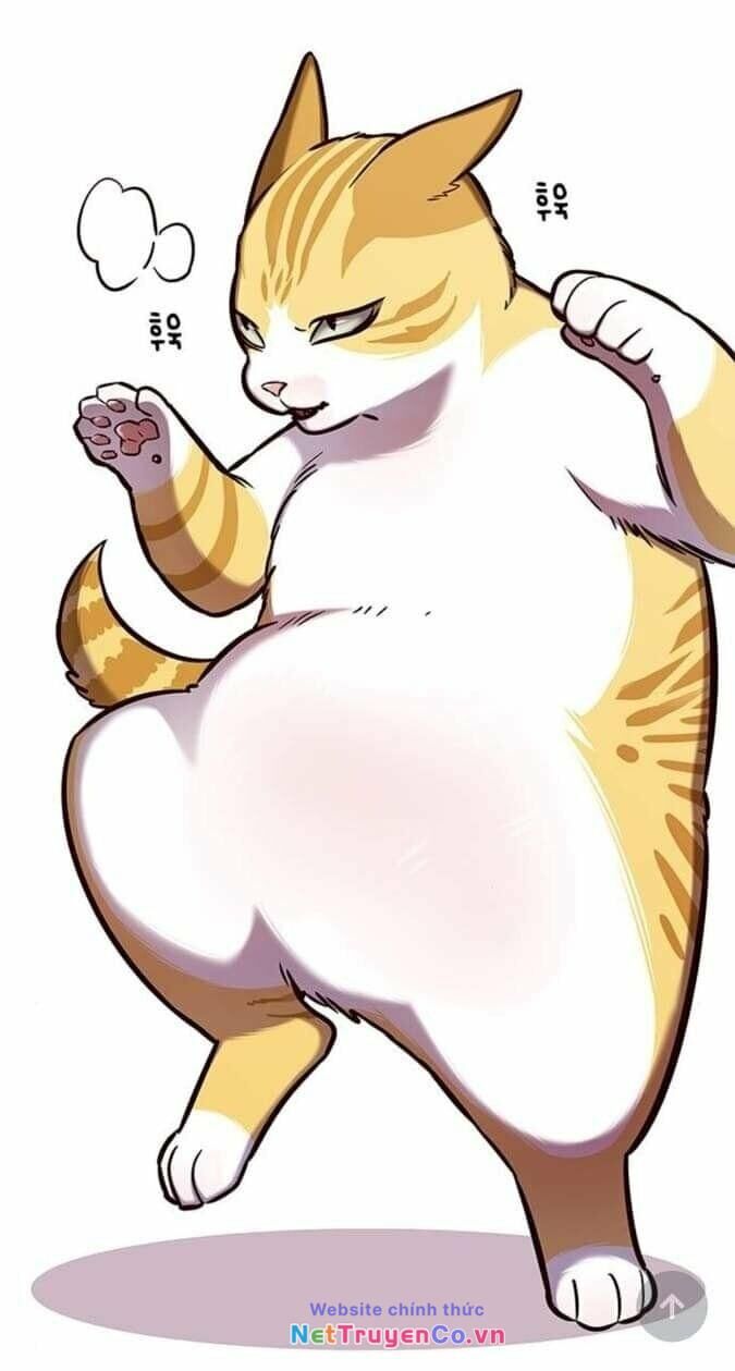 Cô Dâu Của Sói Trắng [Chap 1-154]