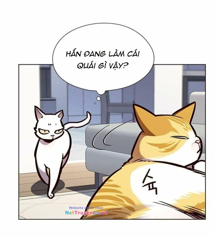 Cô Dâu Của Sói Trắng [Chap 1-154]