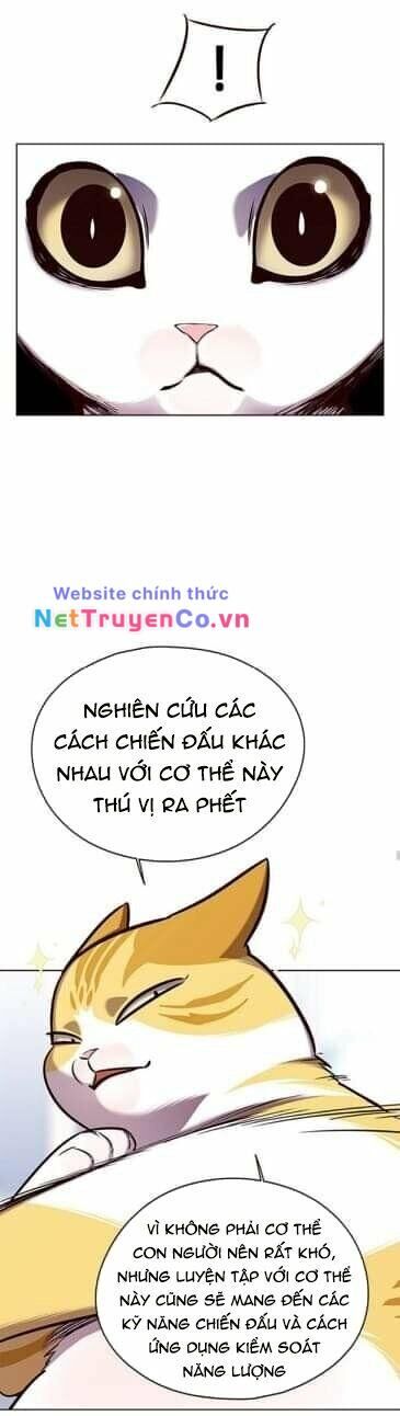 Cô Dâu Của Sói Trắng [Chap 1-154]
