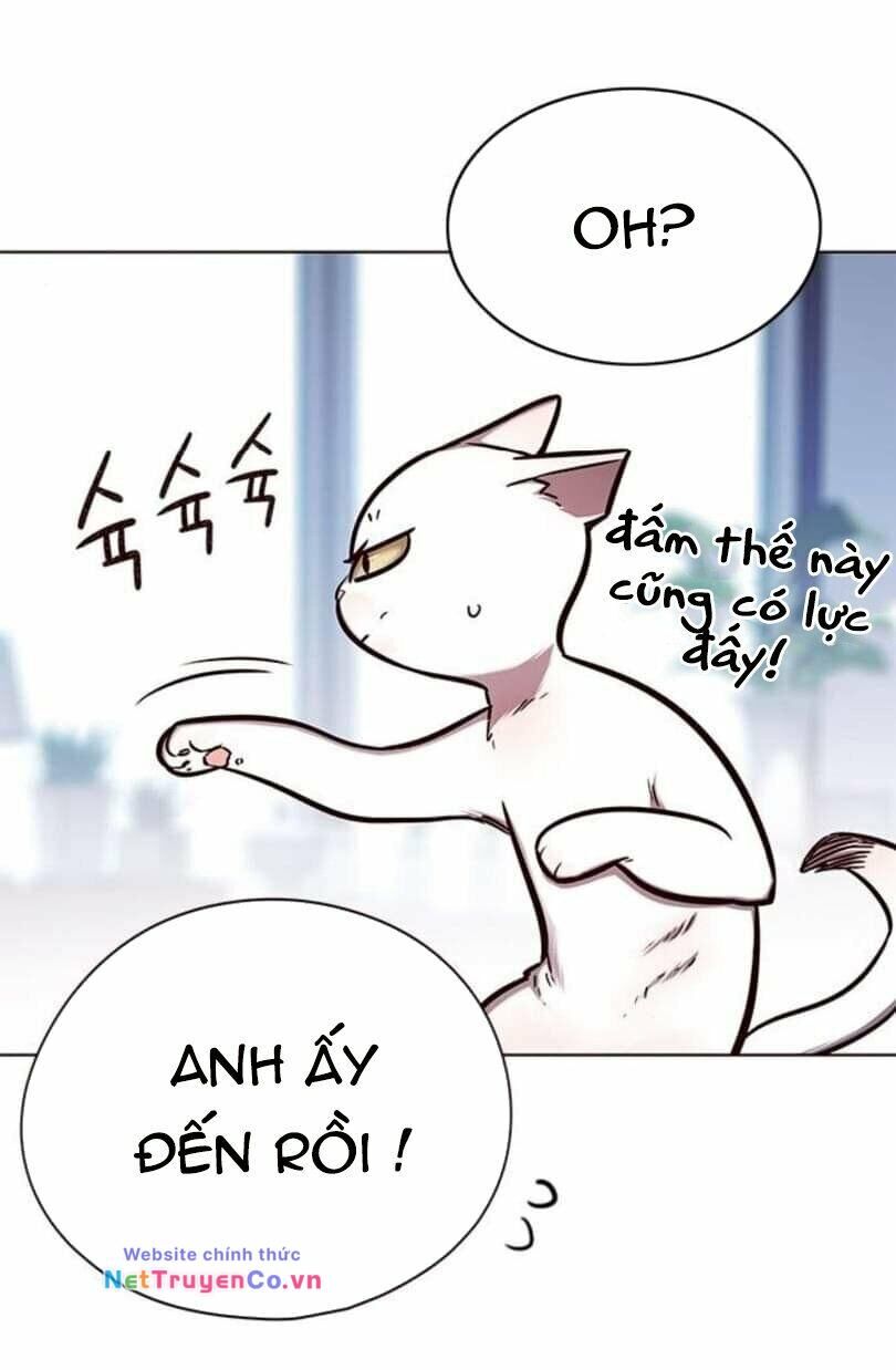 Cô Dâu Của Sói Trắng [Chap 1-154]