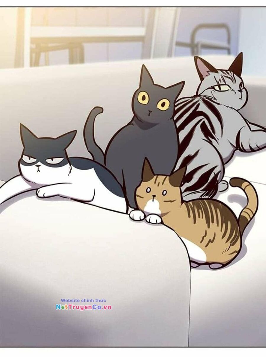 Cô Dâu Của Sói Trắng [Chap 1-154]