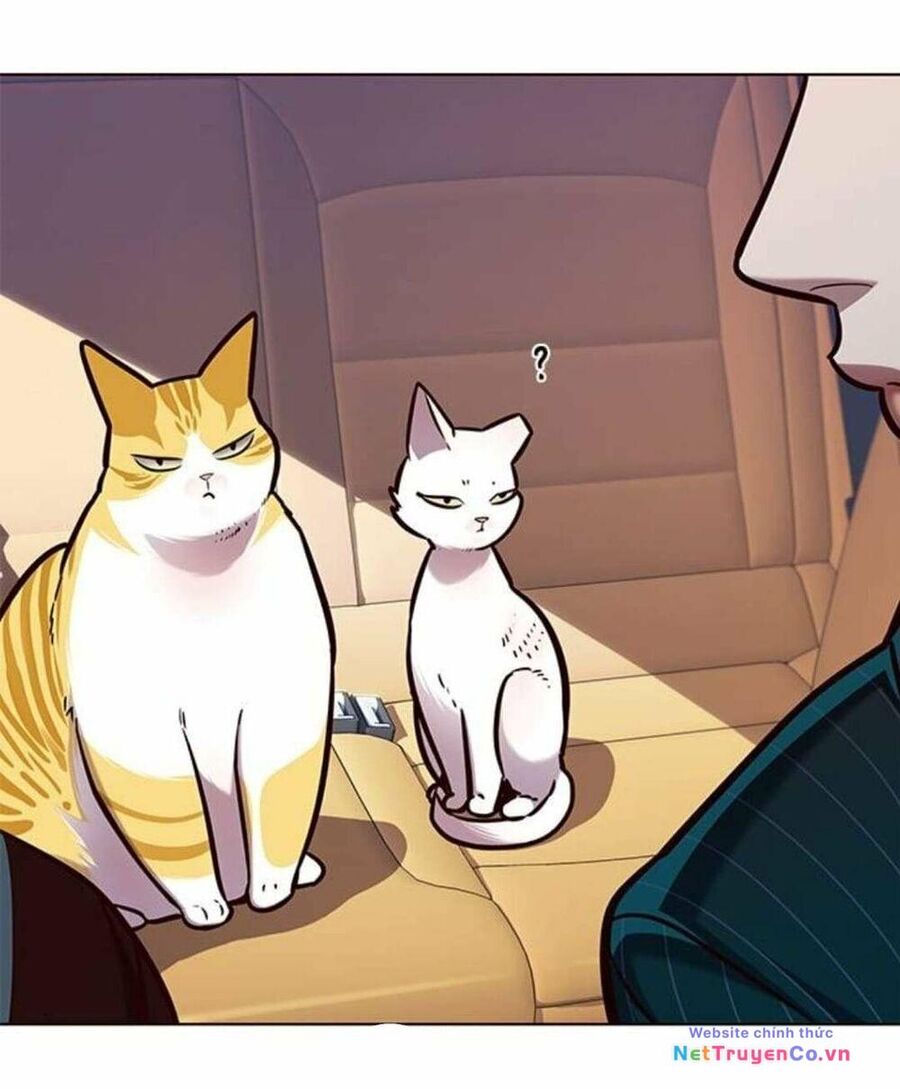 Cô Dâu Của Sói Trắng [Chap 1-154]