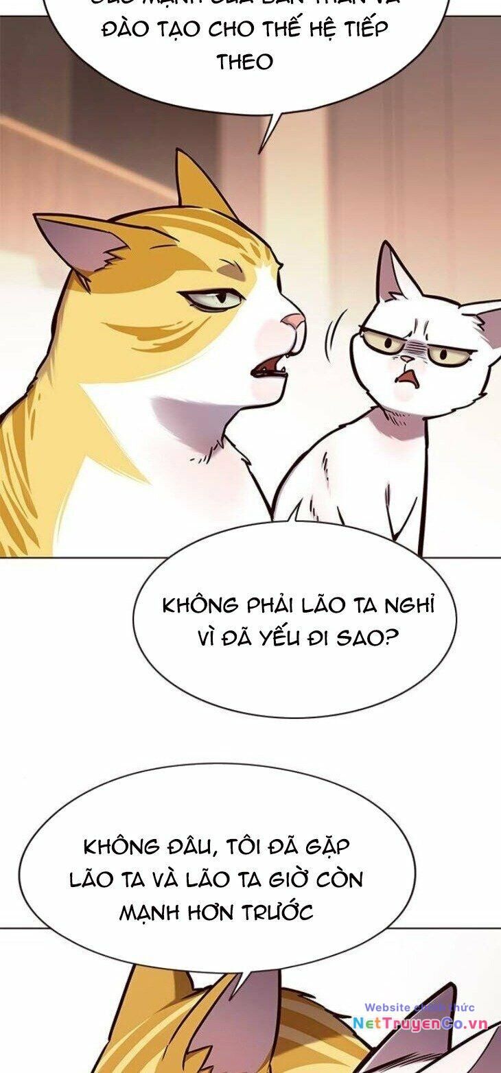 Cô Dâu Của Sói Trắng [Chap 1-154]