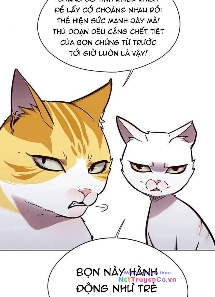 Cô Dâu Của Sói Trắng [Chap 1-154]