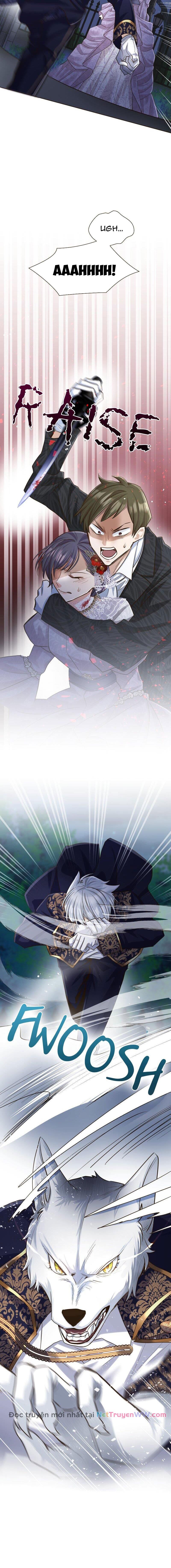 Cô Dâu Của Sói Trắng [Chap 1-154]