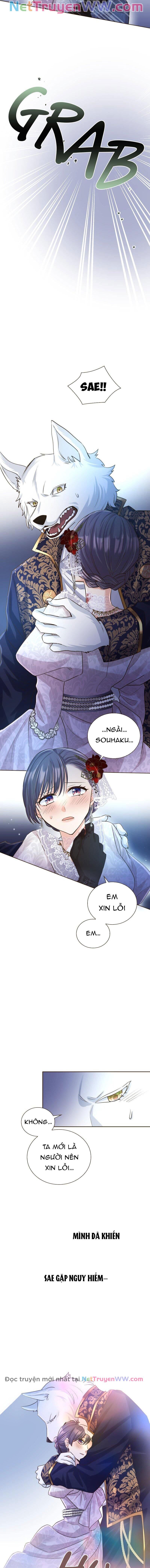 Cô Dâu Của Sói Trắng [Chap 1-154]