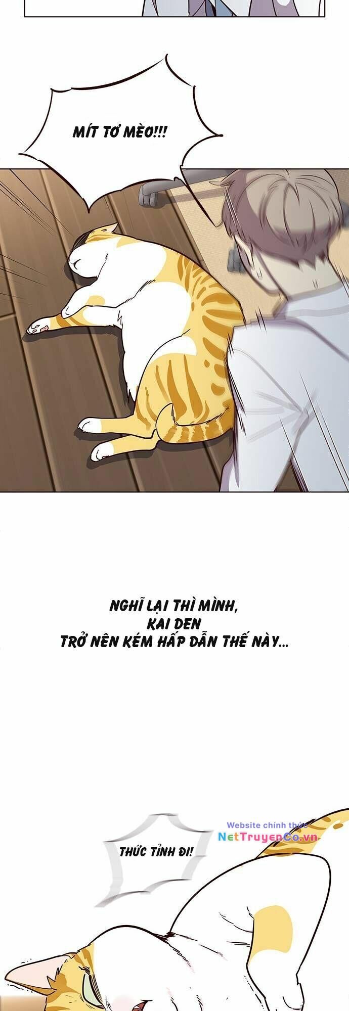 Cô Dâu Của Sói Trắng [Chap 1-154]