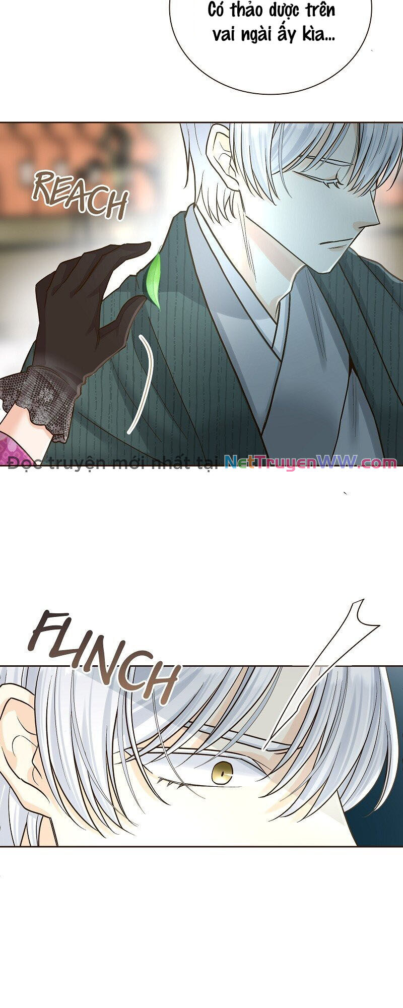 Cô Dâu Của Sói Trắng [Chap 1-154]