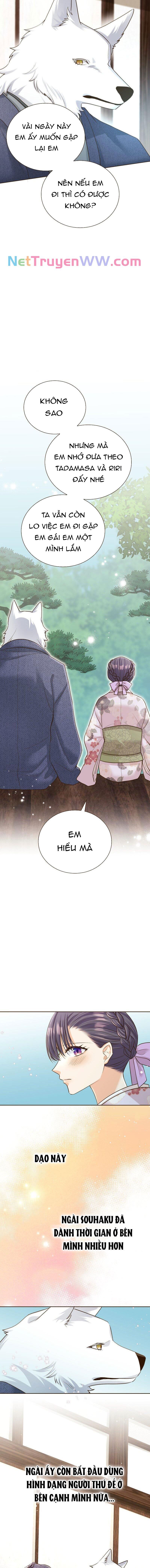 Cô Dâu Của Sói Trắng [Chap 1-154]