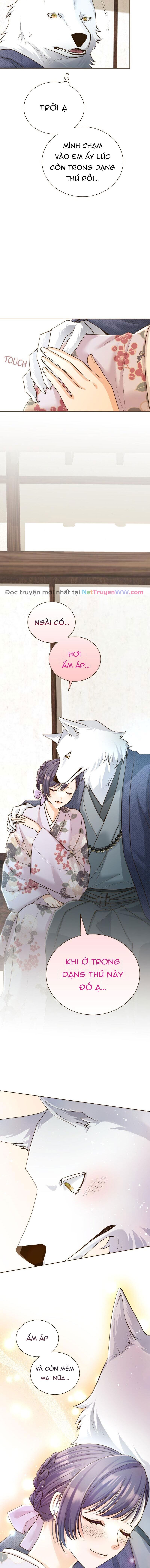 Cô Dâu Của Sói Trắng [Chap 1-154]