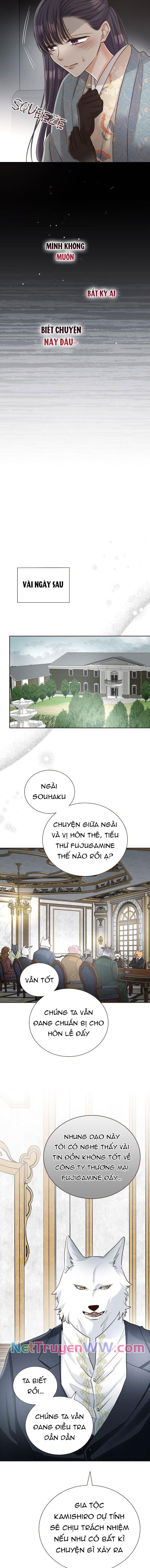 Cô Dâu Của Sói Trắng [Chap 1-154]