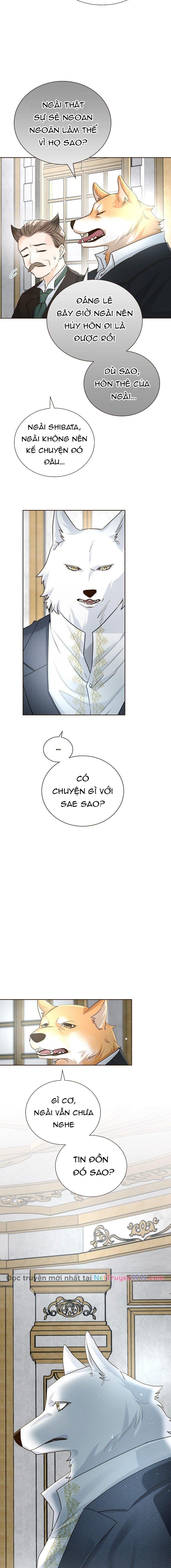 Cô Dâu Của Sói Trắng [Chap 1-154]