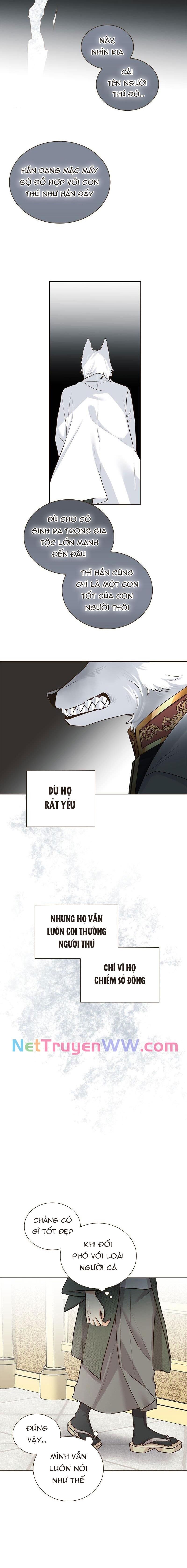 Cô Dâu Của Sói Trắng [Chap 1-154]