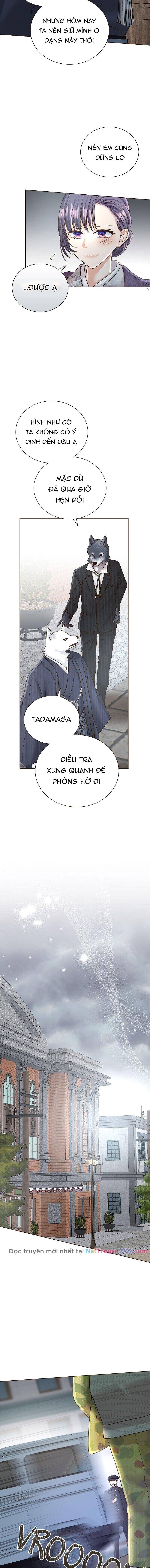 Cô Dâu Của Sói Trắng [Chap 1-154]