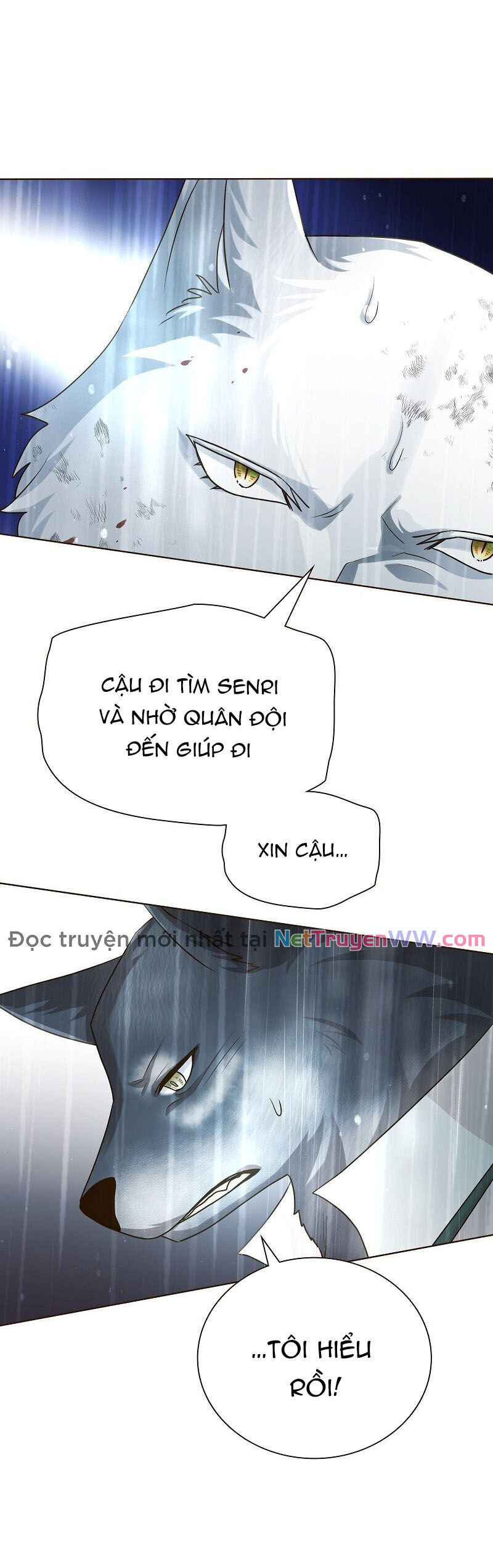 Cô Dâu Của Sói Trắng [Chap 1-154]