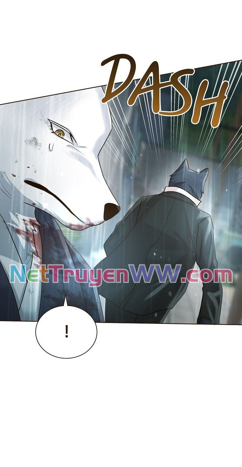 Cô Dâu Của Sói Trắng [Chap 1-154]
